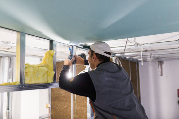 Best Residential Insulation in Heritage Pines, FL